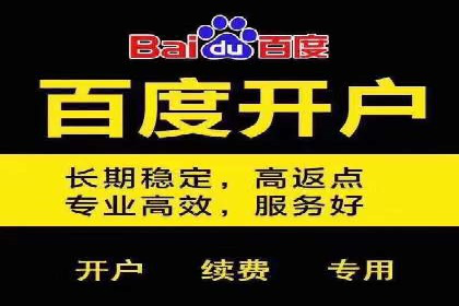 案例研究：竞价广告助力企业品牌升级